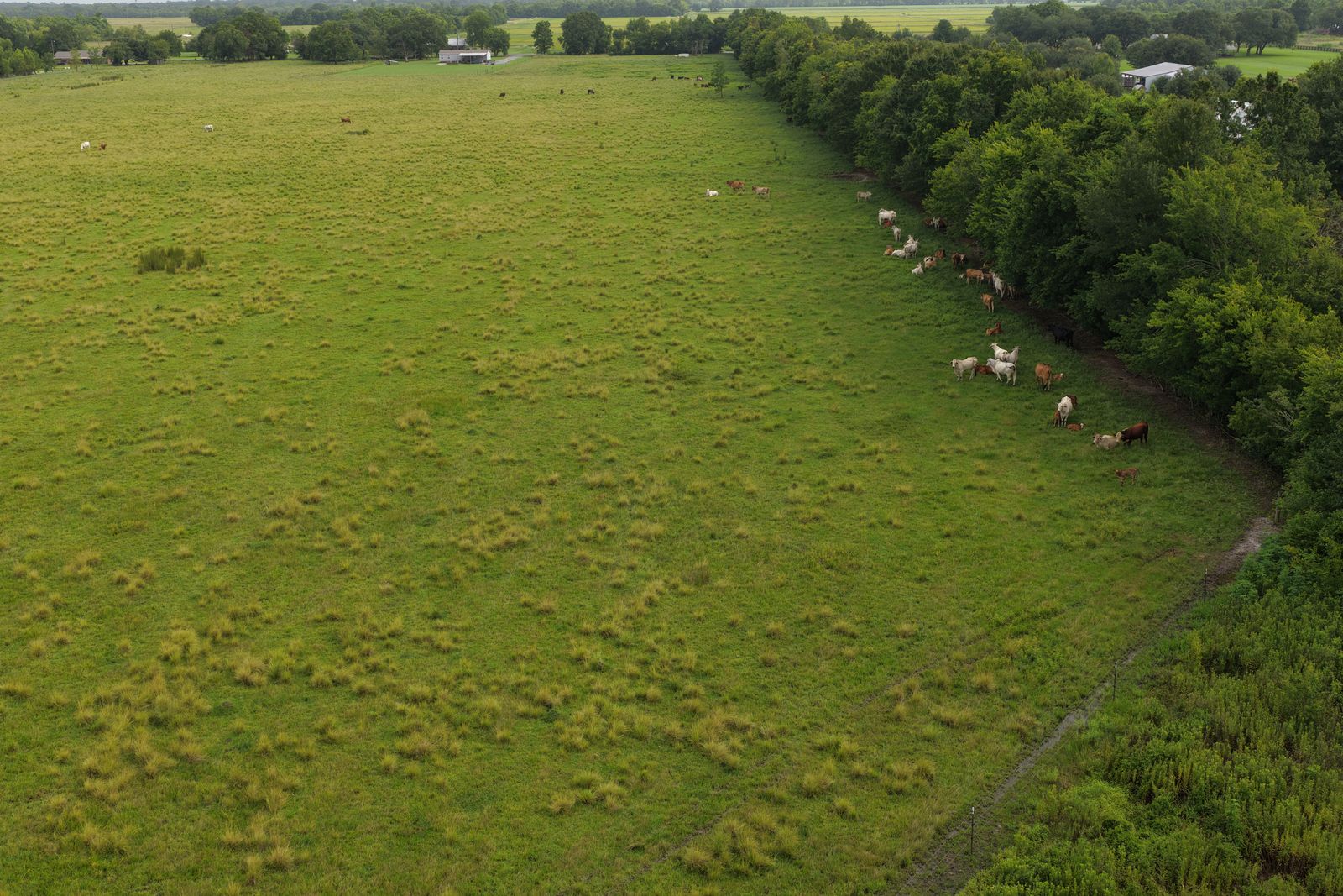 Aerial view of open acreage and pasture